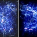 Bright points are scattered in a weblike pattern over a dark background in a computer simulation of the cosmic web.