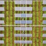 Can solar farms and agricultural farms coexist?