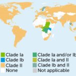 A health care worker wearing medical protective gear checks on a young boy at an mpox treatment center.