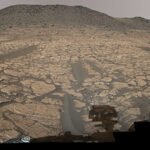 An image of a rock on Mars taken by the NASA rover Perseverance. Rocky white stripes flank a clay-colored area that is speckled with dark spots.